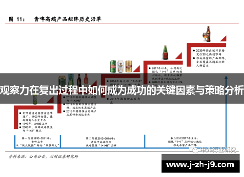观察力在复出过程中如何成为成功的关键因素与策略分析